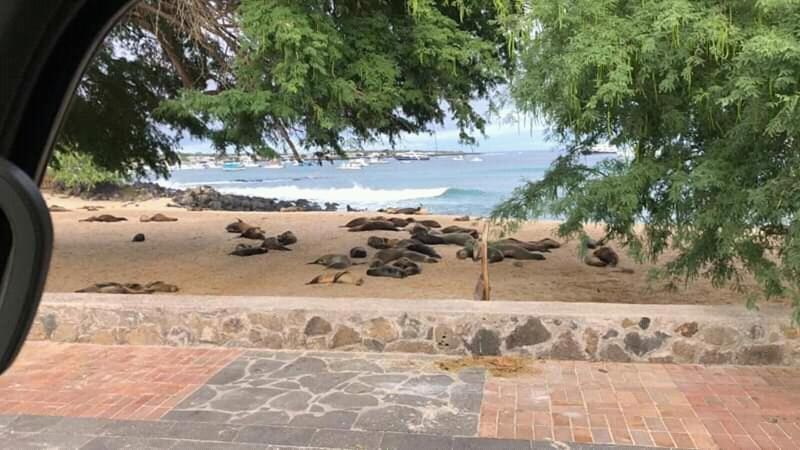 Hostal Albatros San Cristóbal Exteriér fotografie